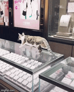 ��һ�ں���ͼ�Ʒ�ϵ�� Ů���첻��������Ҳ��������