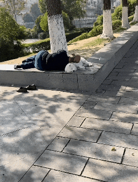 ��һ�ں���ͼ�Ʒ�ϵ�� Ů���첻��������Ҳ��������