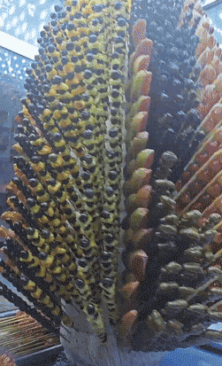 ��һ�ں���ͼ�Ʒ�ϵ�� Ů���첻��������Ҳ��������