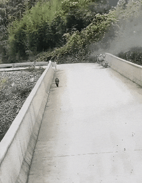 轻松一刻第1609期 妹子你的影子跑哪去呢？