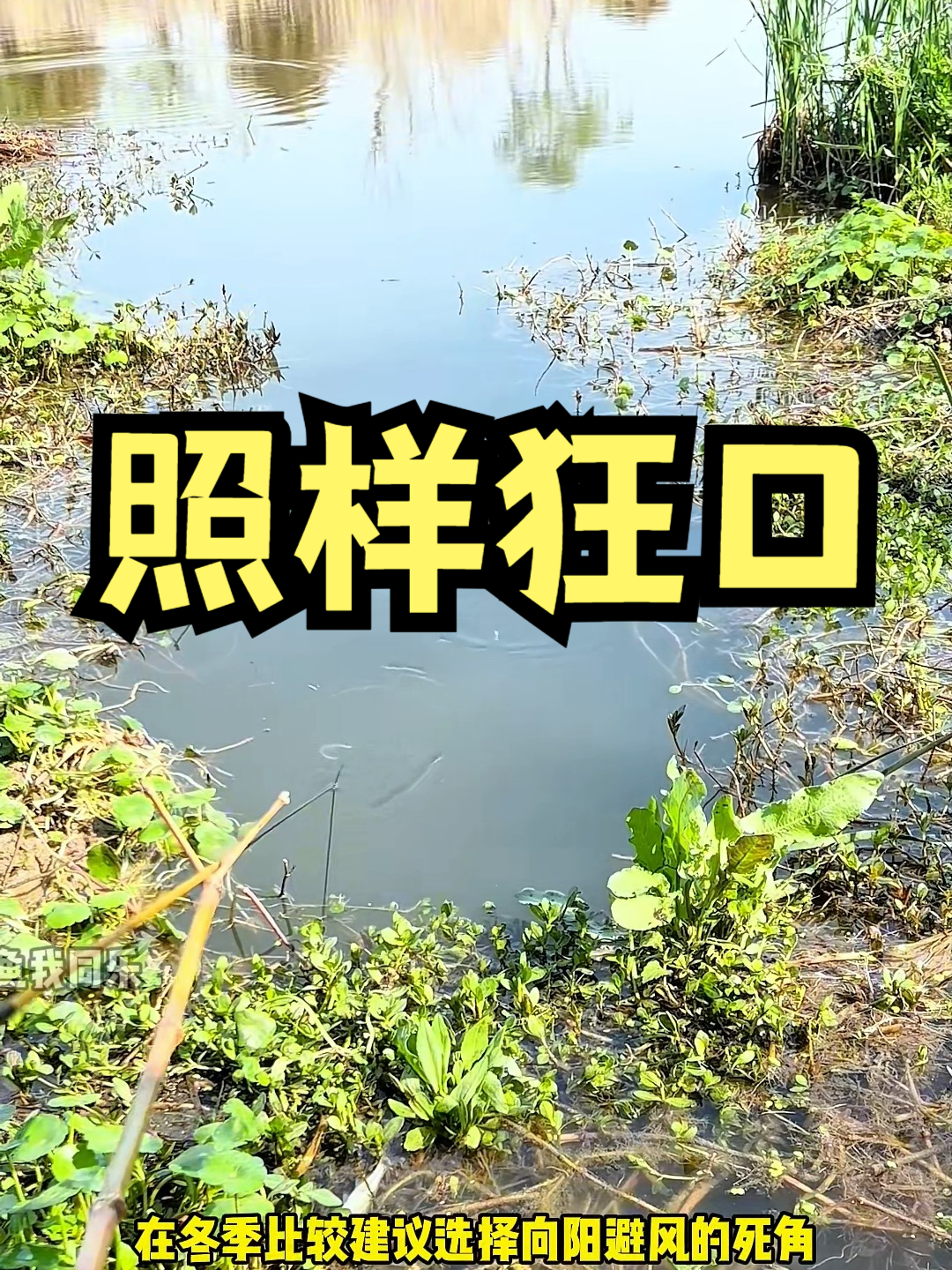 冬季钓野河，鱼竿不是越长越好，3.6米照样狂口