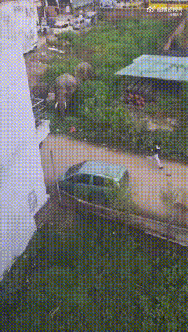 ��һ�ں���ͼ�Ʒ�ϵ�� Ů���첻��������Ҳ��������