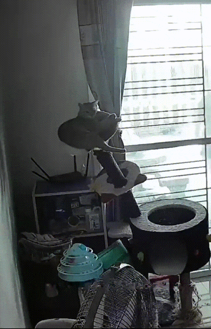 ��һ�ں���ͼ�Ʒ�ϵ�� Ů���첻��������Ҳ��������