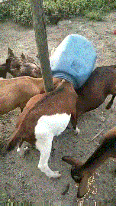 ��һ�ں���ͼ�Ʒ�ϵ�� Ů���첻��������Ҳ��������