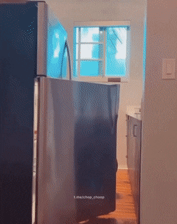 ��һ�ں���ͼ�Ʒ�ϵ�� Ů���첻��������Ҳ��������