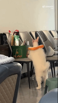 ��һ�ں���ͼ�Ʒ�ϵ�� Ů���첻��������Ҳ��������