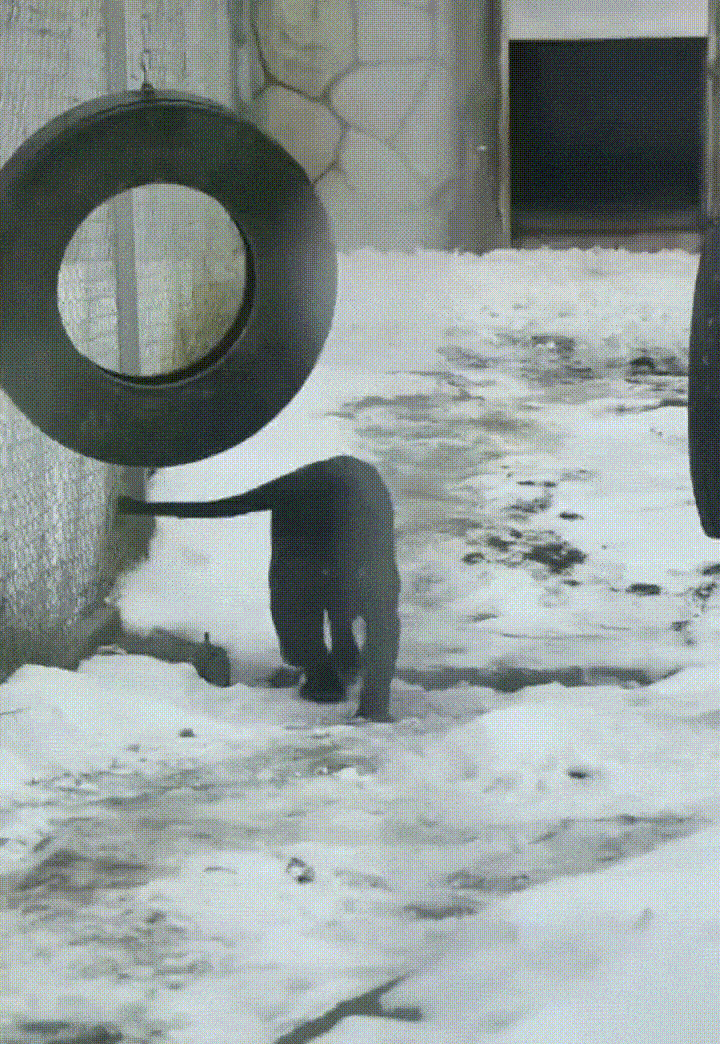 ���帣����ͼ�Ʒ�ϵ�� ���ò�˵��Ӱʦ̫��������