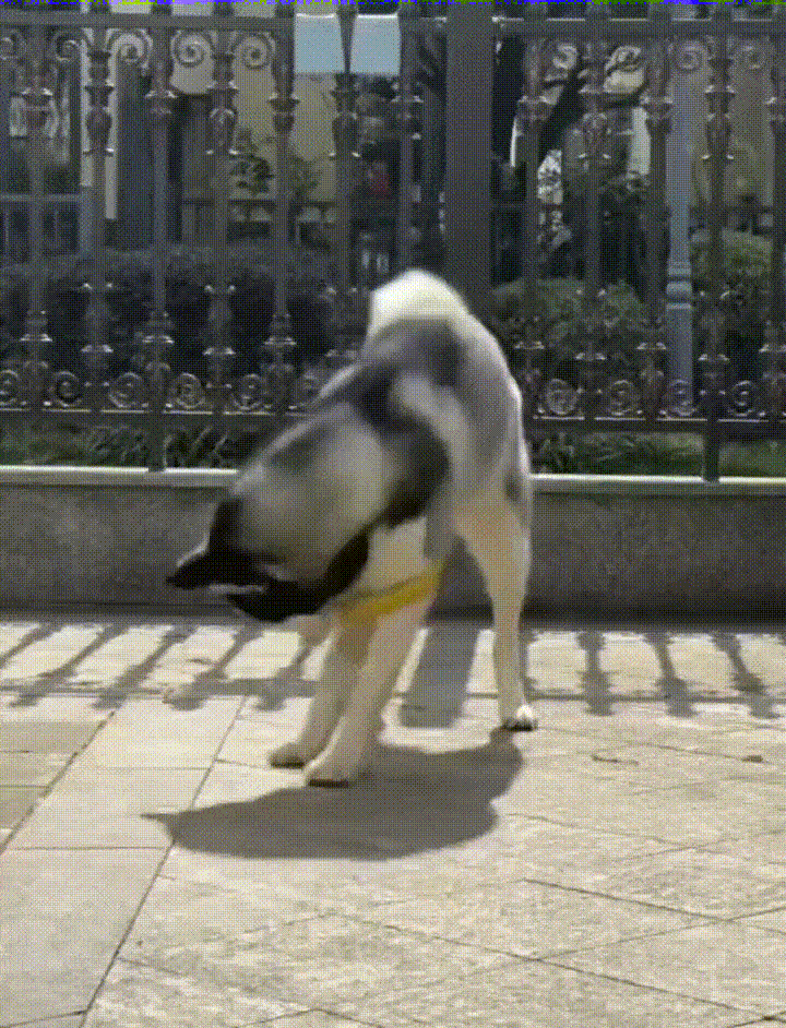 周五福利囧图云飞系列 不得不说摄影师太懂我们了