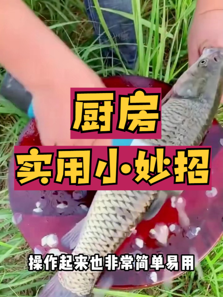 电动去鳞神器!鱼鳞刨强力刮净,不溅油不损鱼,家用厨房好帮手