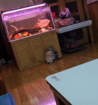 ���帣����ͼ�Ʒ�ϵ�� ���ò�˵��Ӱʦ̫��������