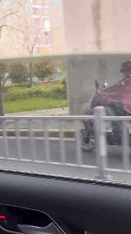 3DM����һ�̵�1610�� ��Ů���������������գ�