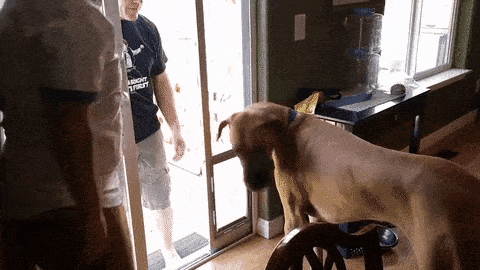 ���帣����ͼ�Ʒ�ϵ�� ���ò�˵��Ӱʦ̫��������