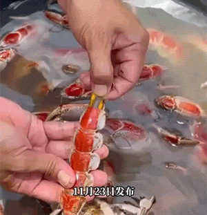 ���帣����ͼ�Ʒ�ϵ�� ���ò�˵��Ӱʦ̫��������