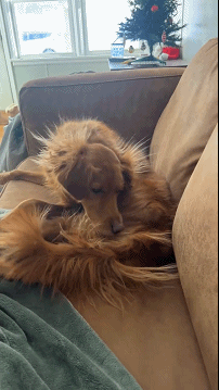 ���帣����ͼ�Ʒ�ϵ�� ���ò�˵��Ӱʦ̫��������