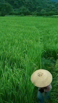 ���帣����ͼ�Ʒ�ϵ�� ���ò�˵��Ӱʦ̫��������