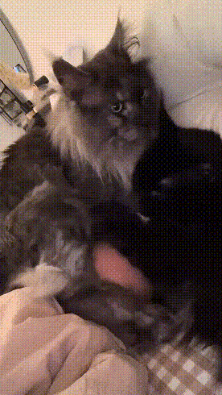 ���帣����ͼ�Ʒ�ϵ�� ���ò�˵��Ӱʦ̫��������