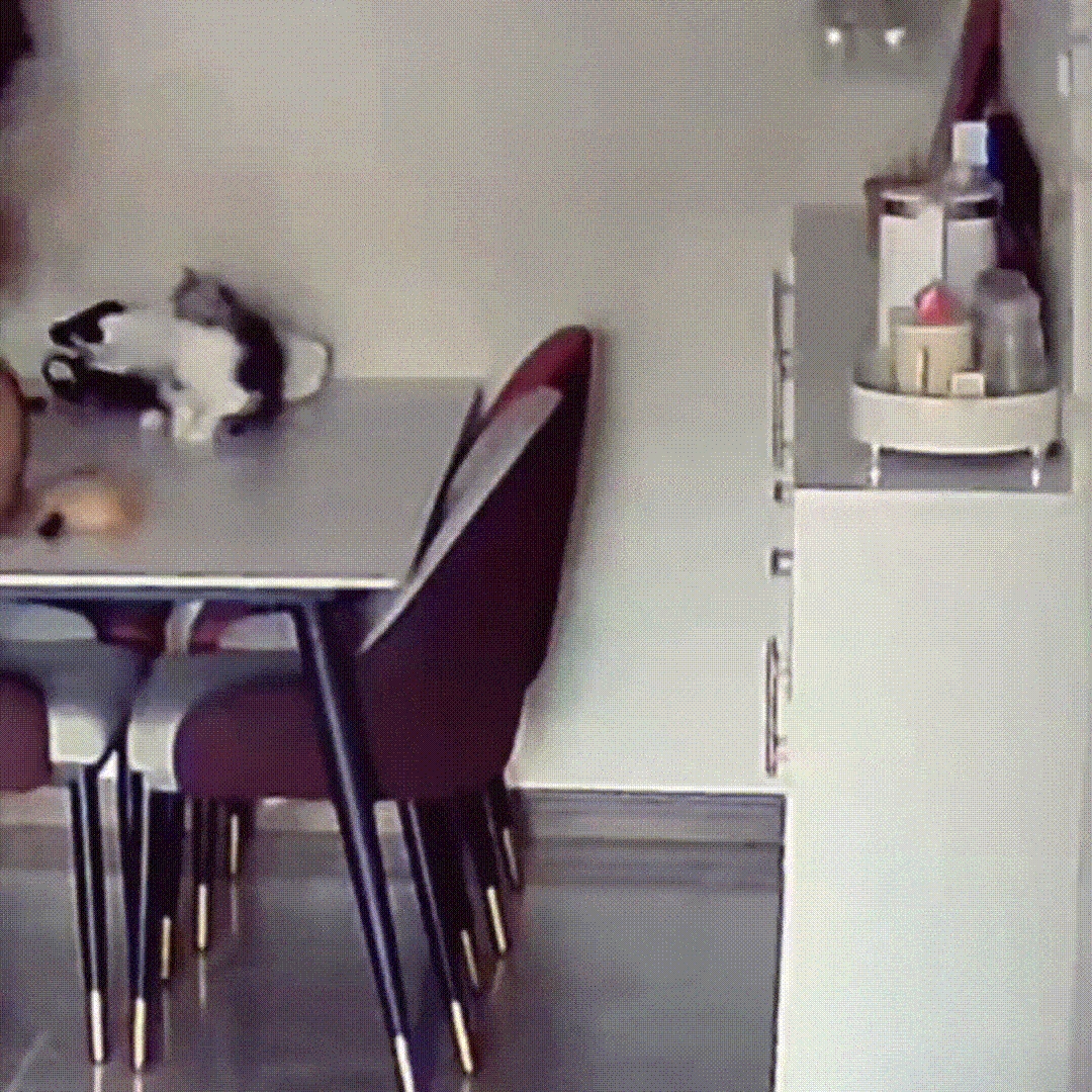 ��һ�ں���ͼ�Ʒ�ϵ�� �������۾۽�ս�������鴫