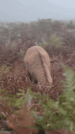 ���帣����ͼ�Ʒ�ϵ�� ���ò�˵��Ӱʦ̫��������