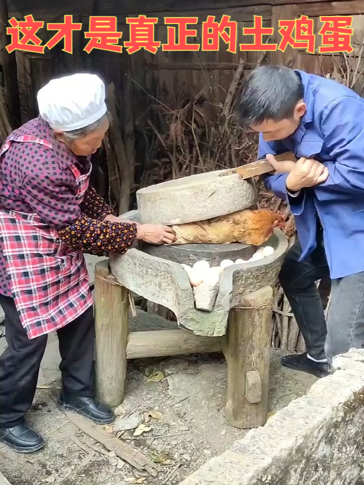 蛋黄饱满紧实!山林散养土鸡蛋,煎炒炖煮都鲜香