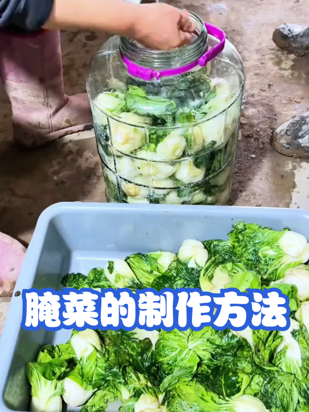 腌菜的制作方法