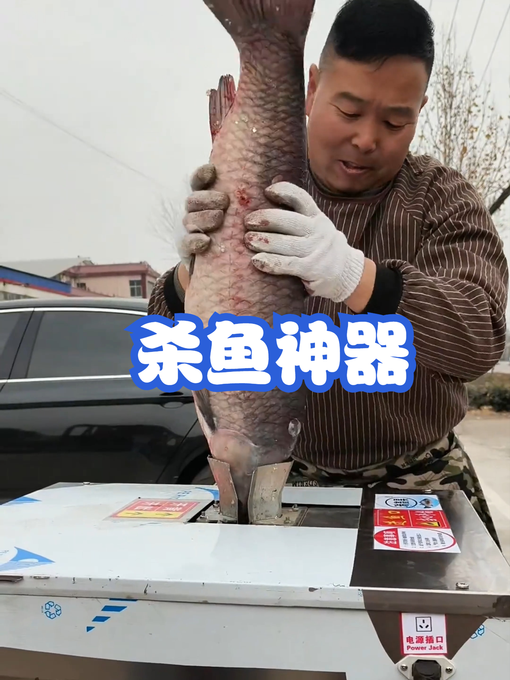 杀鱼神器