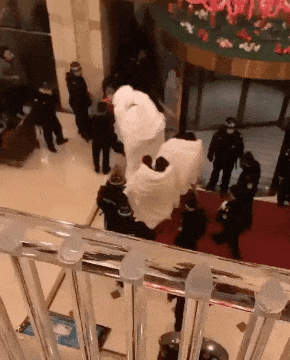 轻松一刻第1611期 这奇怪姿势到底在锻炼什么