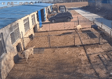 轻松一刻第1611期 这奇怪姿势到底在锻炼什么