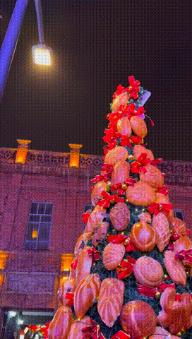 周一内涵囧图云飞系列 妹妹两眼聚焦战术名不虚传