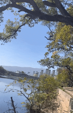 轻松一刻第1611期 这奇怪姿势到底在锻炼什么