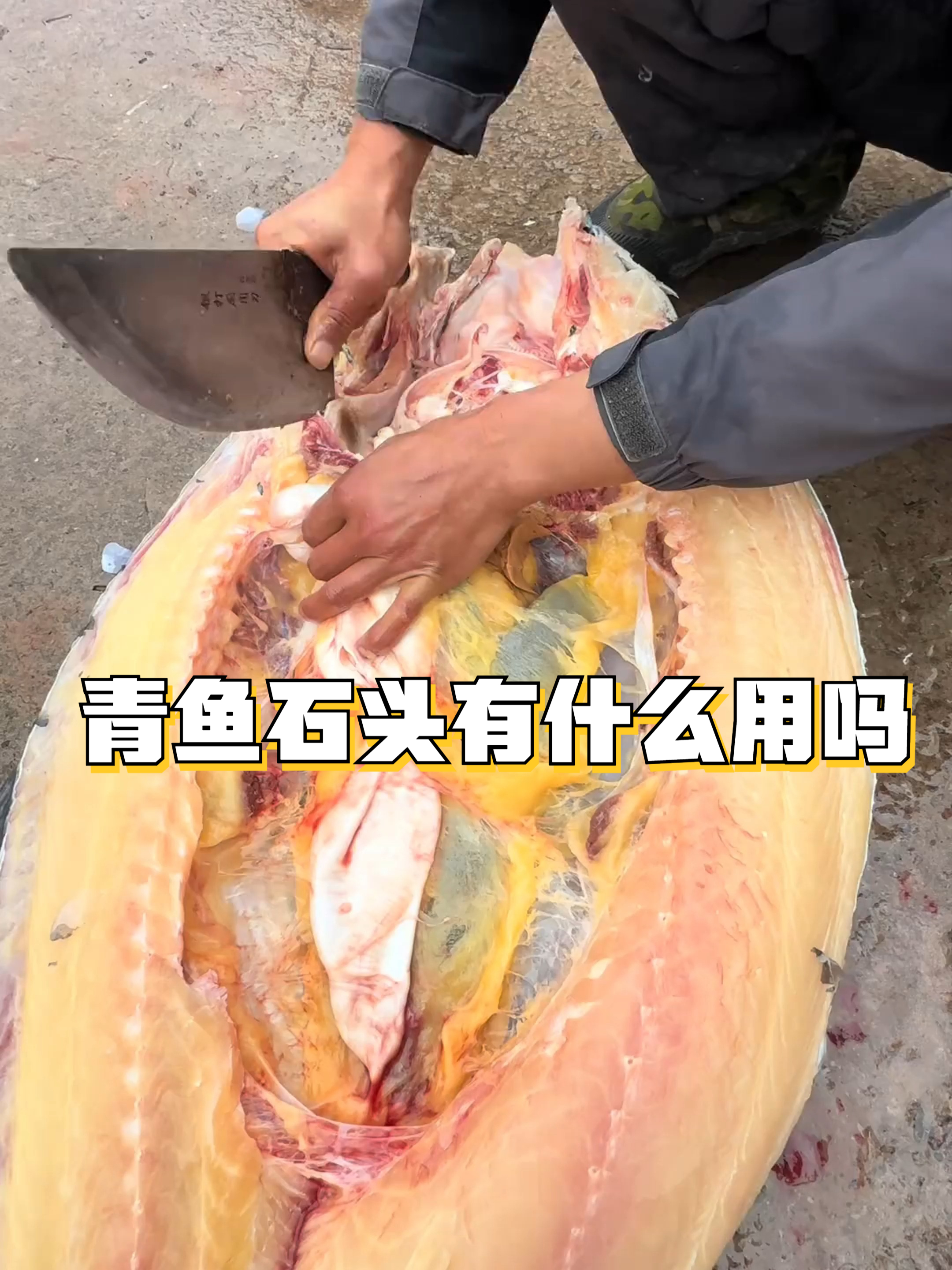 青鱼石头有什么用吗