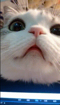 ��һ�ں���ͼ�Ʒ�ϵ�� �����л��赸������ɶ����