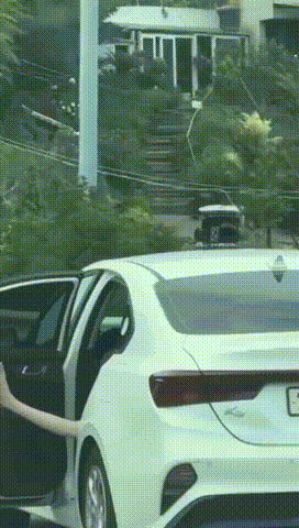 ��һ�ں���ͼ�Ʒ�ϵ�� �����л��赸������ɶ����