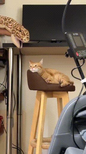 3DM����һ�̵�1615�� �������������Ƕ�ô�Ҹ���