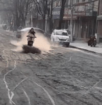 ��һ�ں���ͼ�Ʒ�ϵ�� �����л��赸������ɶ����