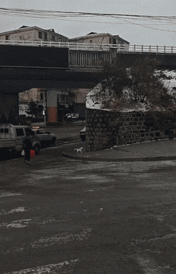 ��һ�ں���ͼ�Ʒ�ϵ�� �����л��赸������ɶ����