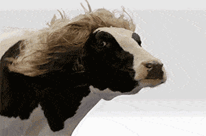 3DM����һ�̵�1614�� ��������һ�������ѱ氡��