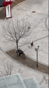 3DM����һ�̵�1615�� �������������Ƕ�ô�Ҹ���