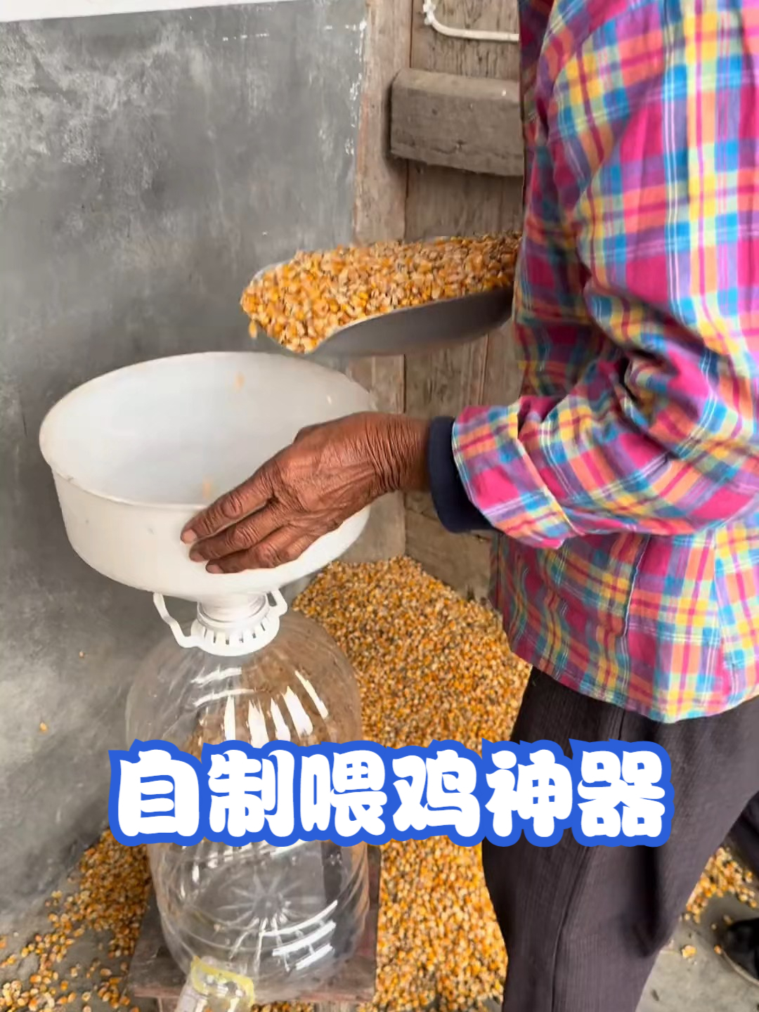 自制喂鸡神器