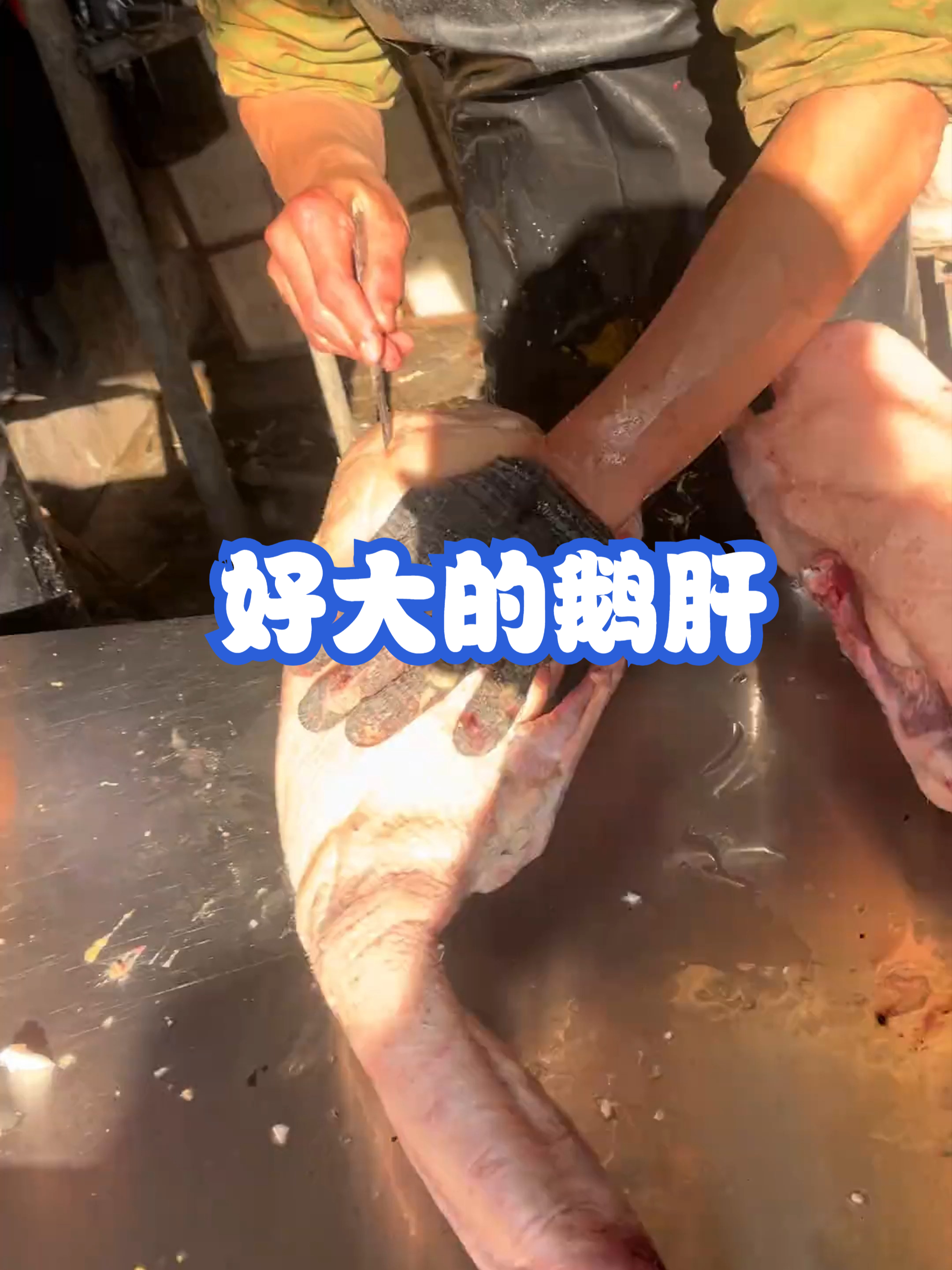 好大的鹅肝