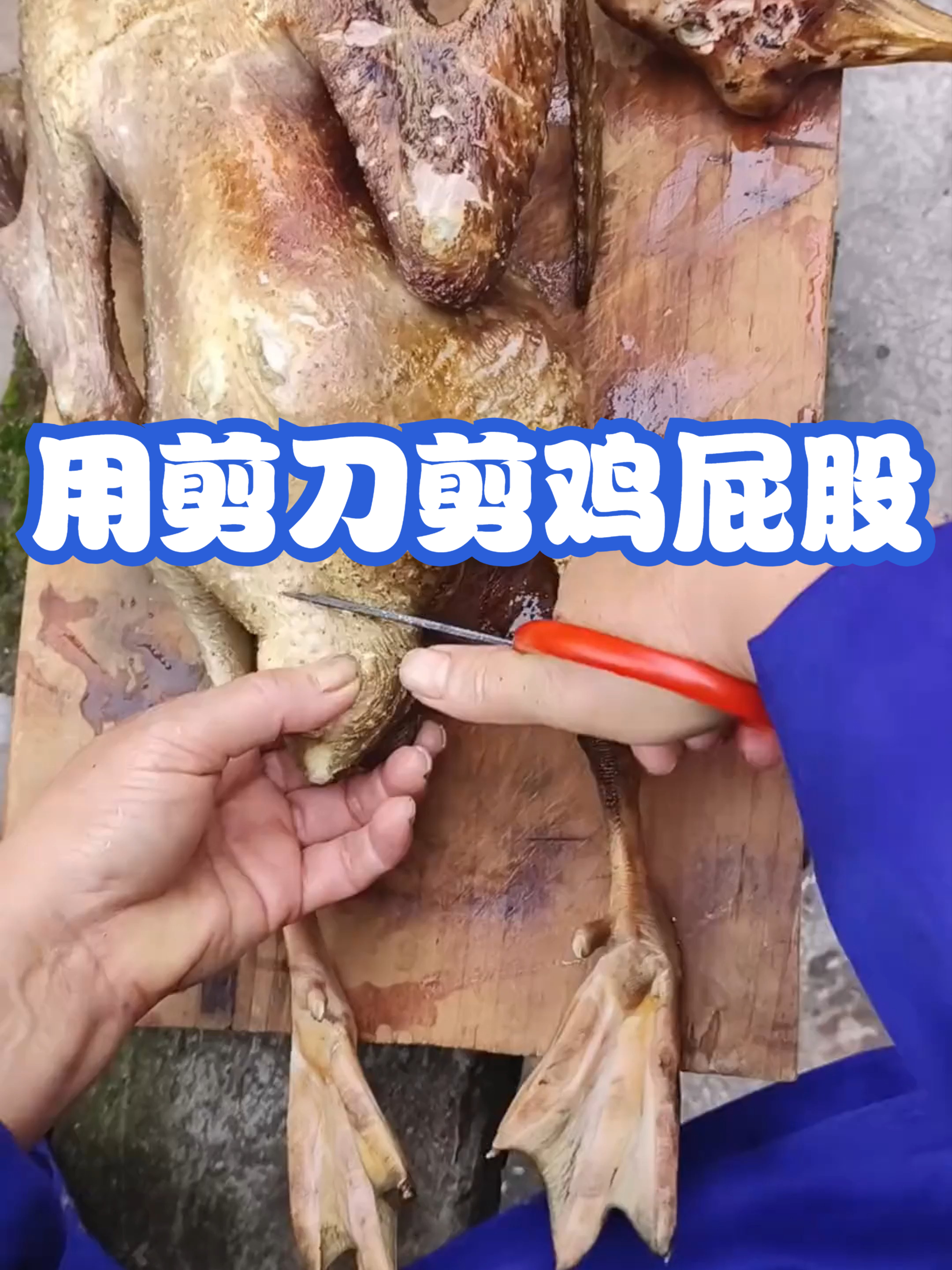 用剪刀剪鸡屁股