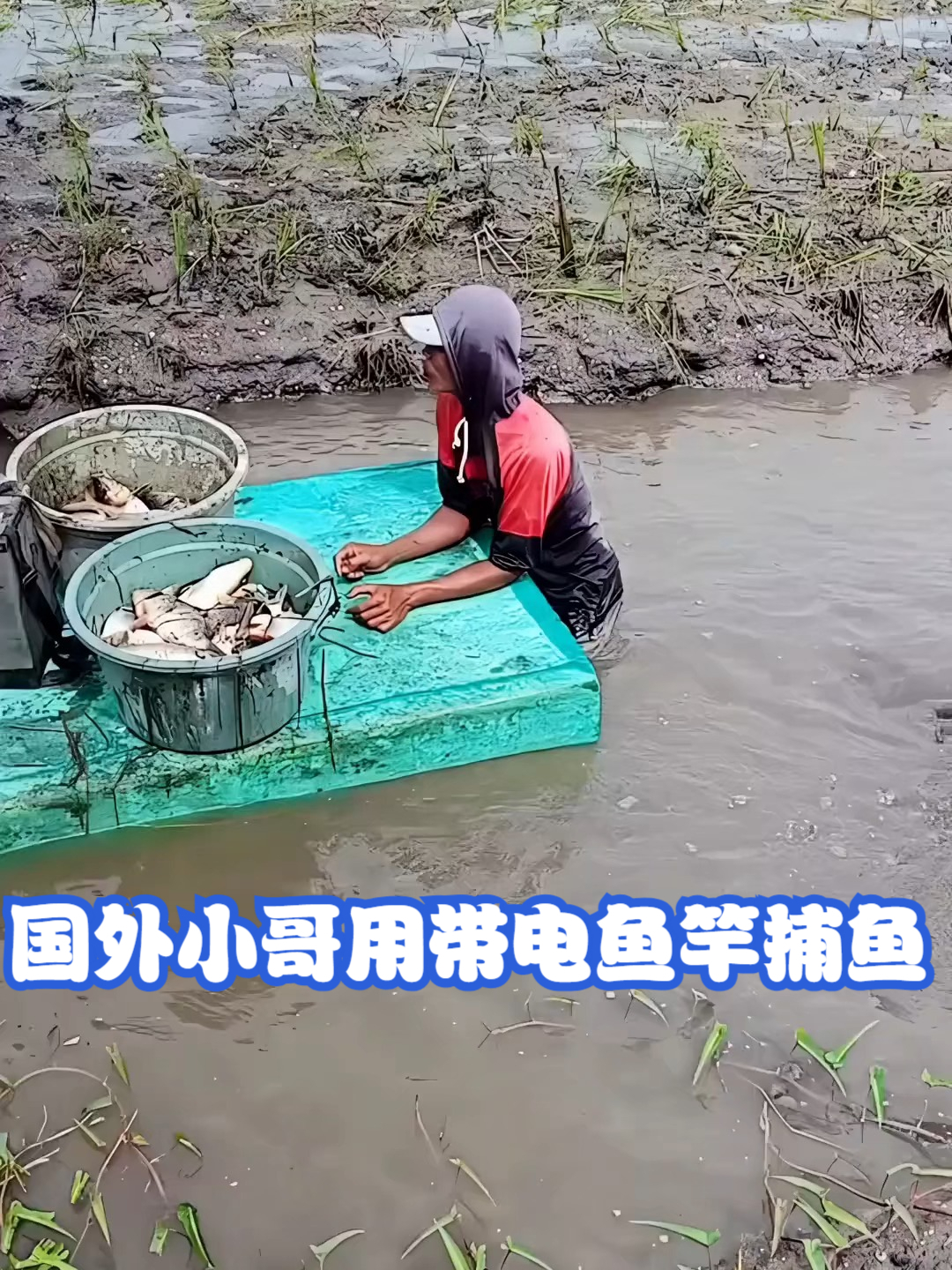 国外小哥用带电鱼竿捕鱼