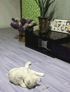 3DM����һ�̵�1622�� �������ʲô��Ϸ��ô�̼�