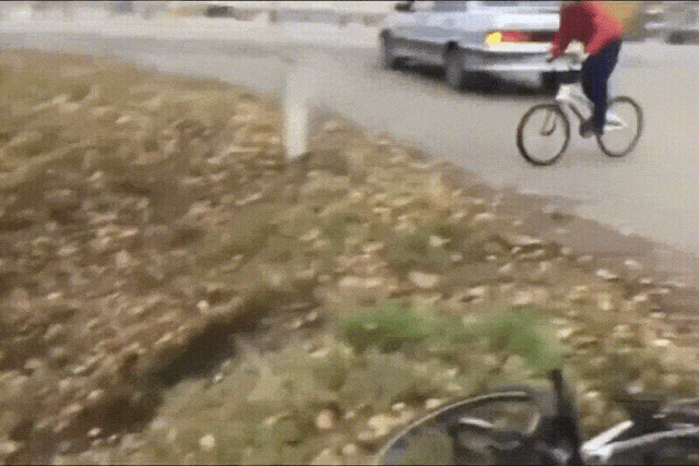 ���帣����ͼ�Ʒ�ϵ�� ����Ů��ѧ������ô������