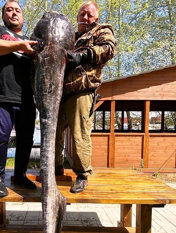 俄罗斯人在野外都是如何烹饪美食的，这才是真正的烤活鱼吧，真香