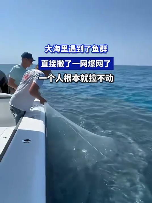 大海里遇到了鱼群,直接撒了一网爆网了,一个人根本就拉不动