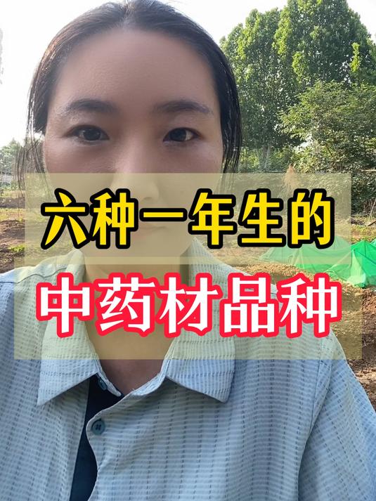 六种一年生的中药材品种