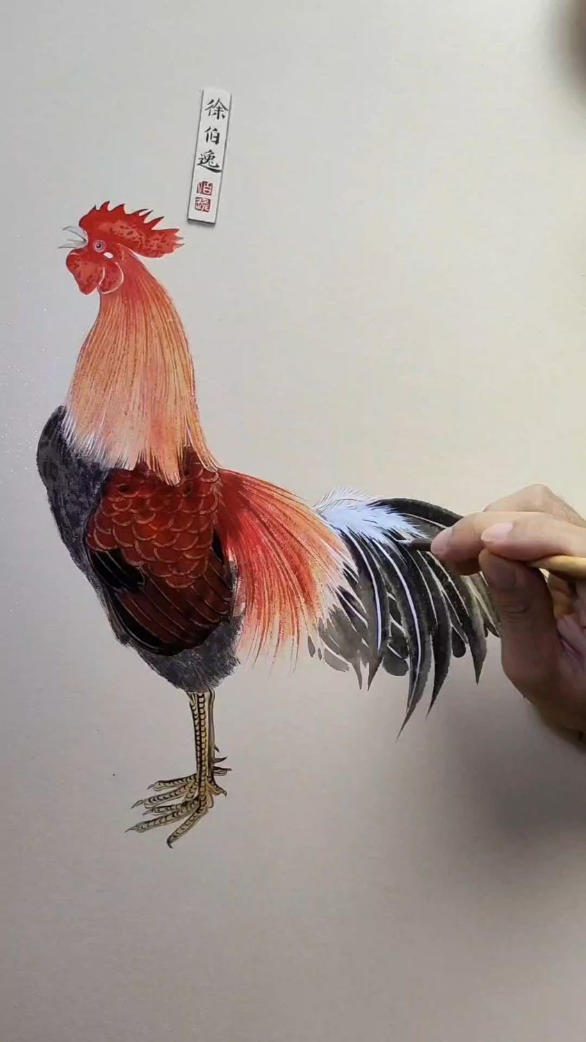 雄鸡一唱天下白