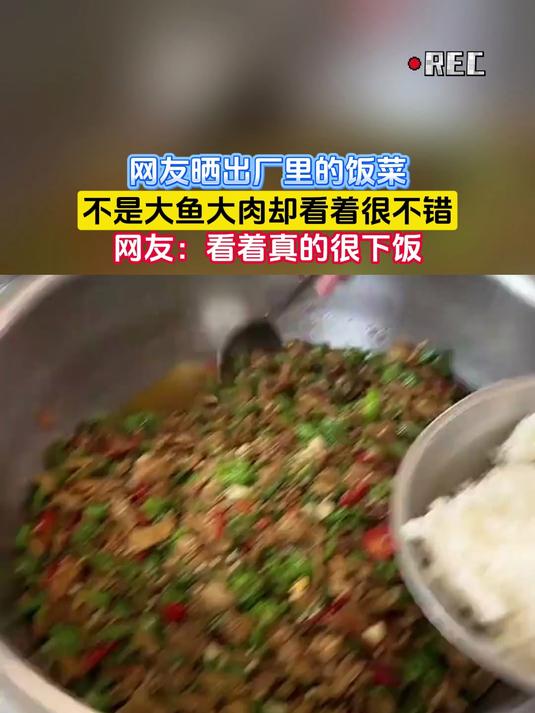 网友晒出厂里的饭菜,不是大鱼大肉却看着很不错