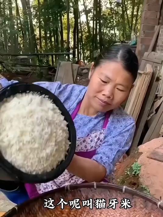 猫牙米熬红枣小米粥!红枣甜混米香,绵密暖身