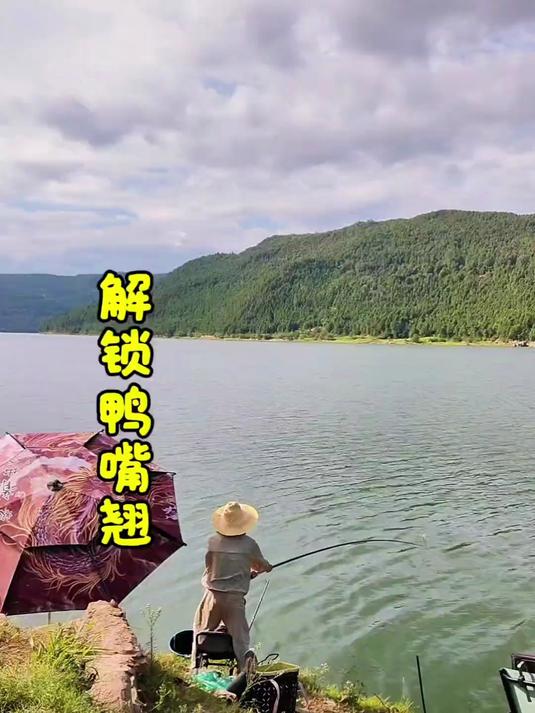 探钓鸭嘴翘，清蒸高背翘嘴